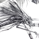 Illustration for article titled Ian Millers Geometrically-Exact Surrealism